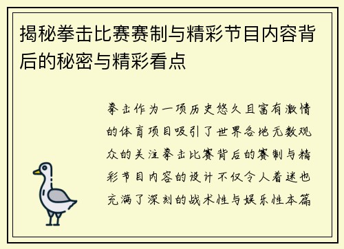 揭秘拳击比赛赛制与精彩节目内容背后的秘密与精彩看点